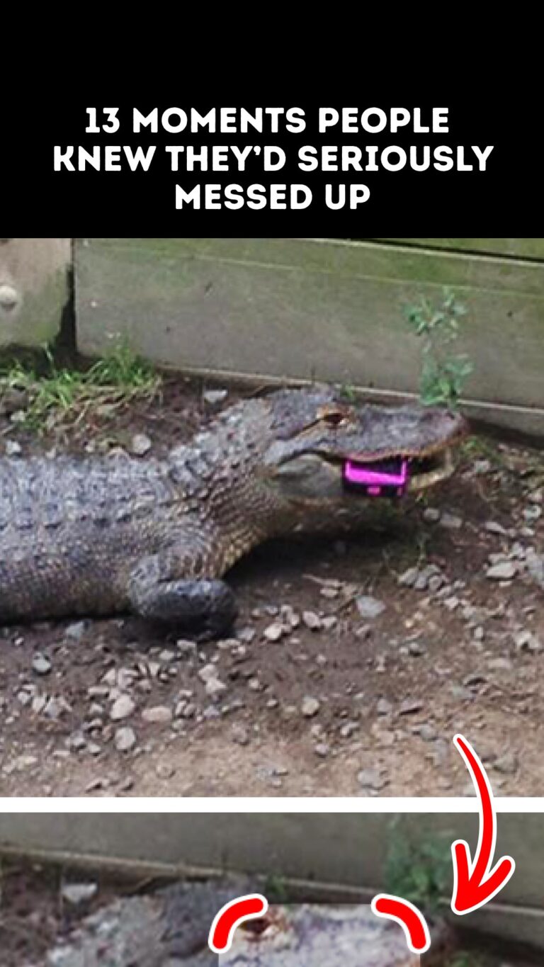 13 Moments People Knew They’d Seriously Messed Up