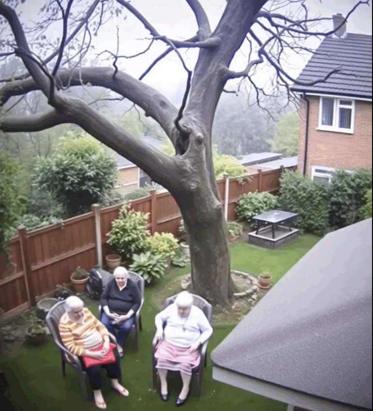 Reckless Chainsaw Crew Attempts Tree Removal — Huge Tree Topples onto Homes