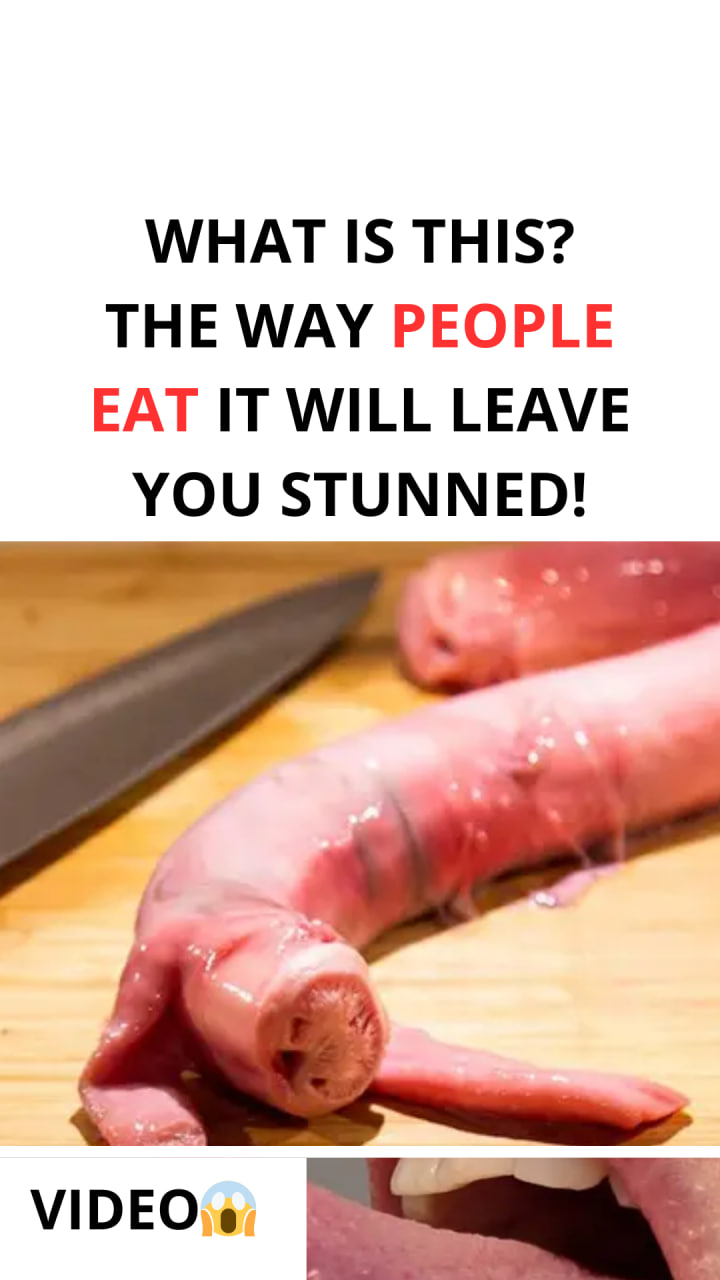 The Disgusting Food Museum Was Created to Explore the Concept of Taste