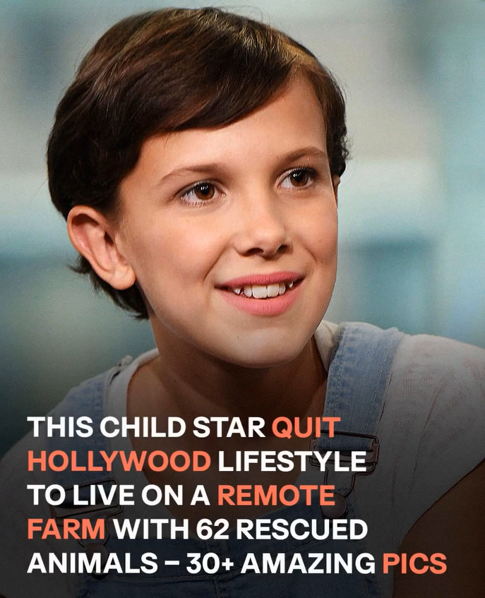 From Glamorous Life to Peaceful Countryside: A Look Inside Millie Bobby Brown Bongiovi’s Farm