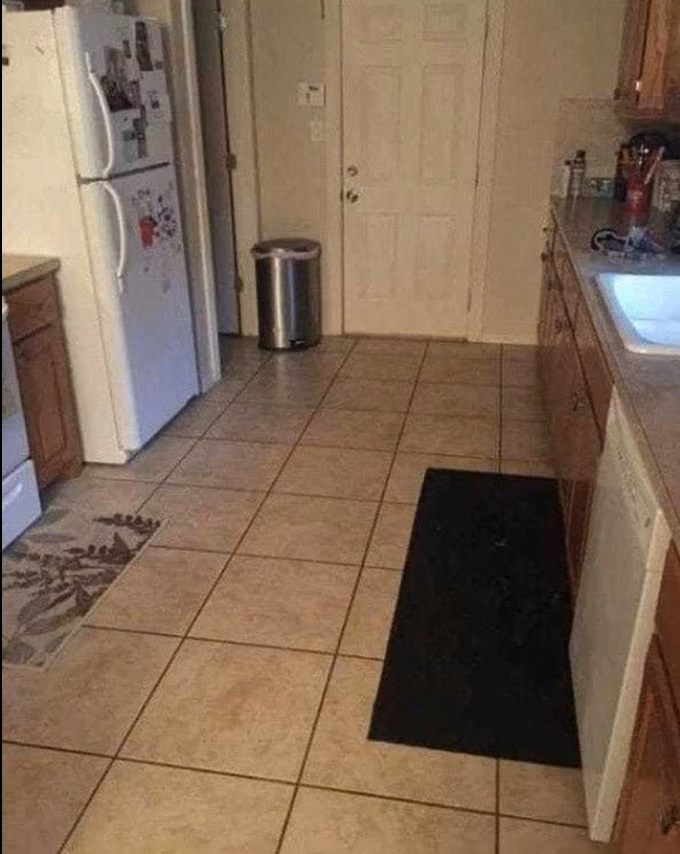Look Closely: There’s a Dog Hidden in This Kitchen Scene